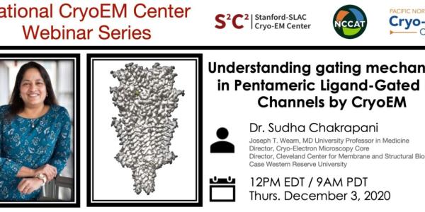 Dr. Sudha Chakrapani