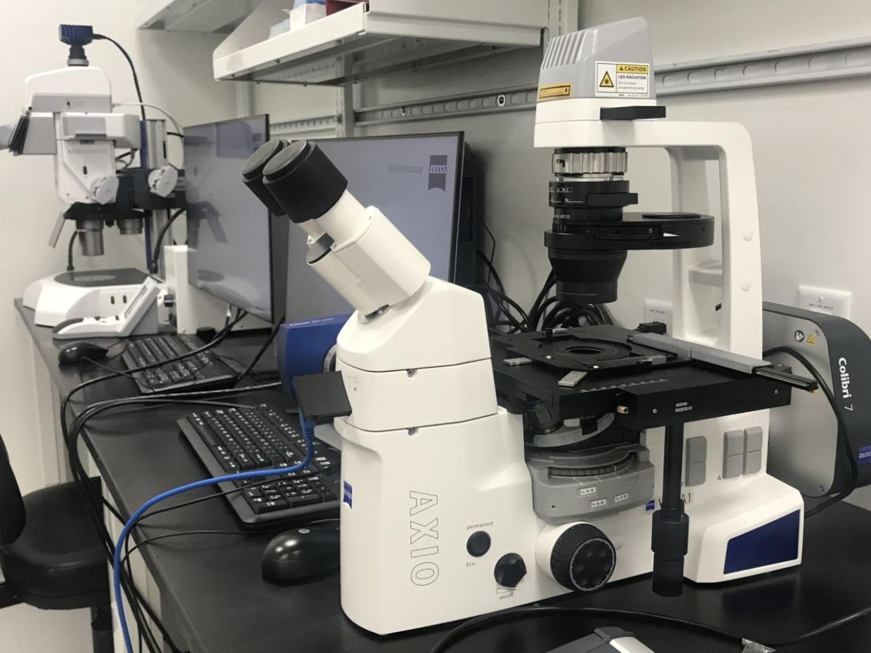 Zeiss Light Microscope Axio Vert.A1KMAT