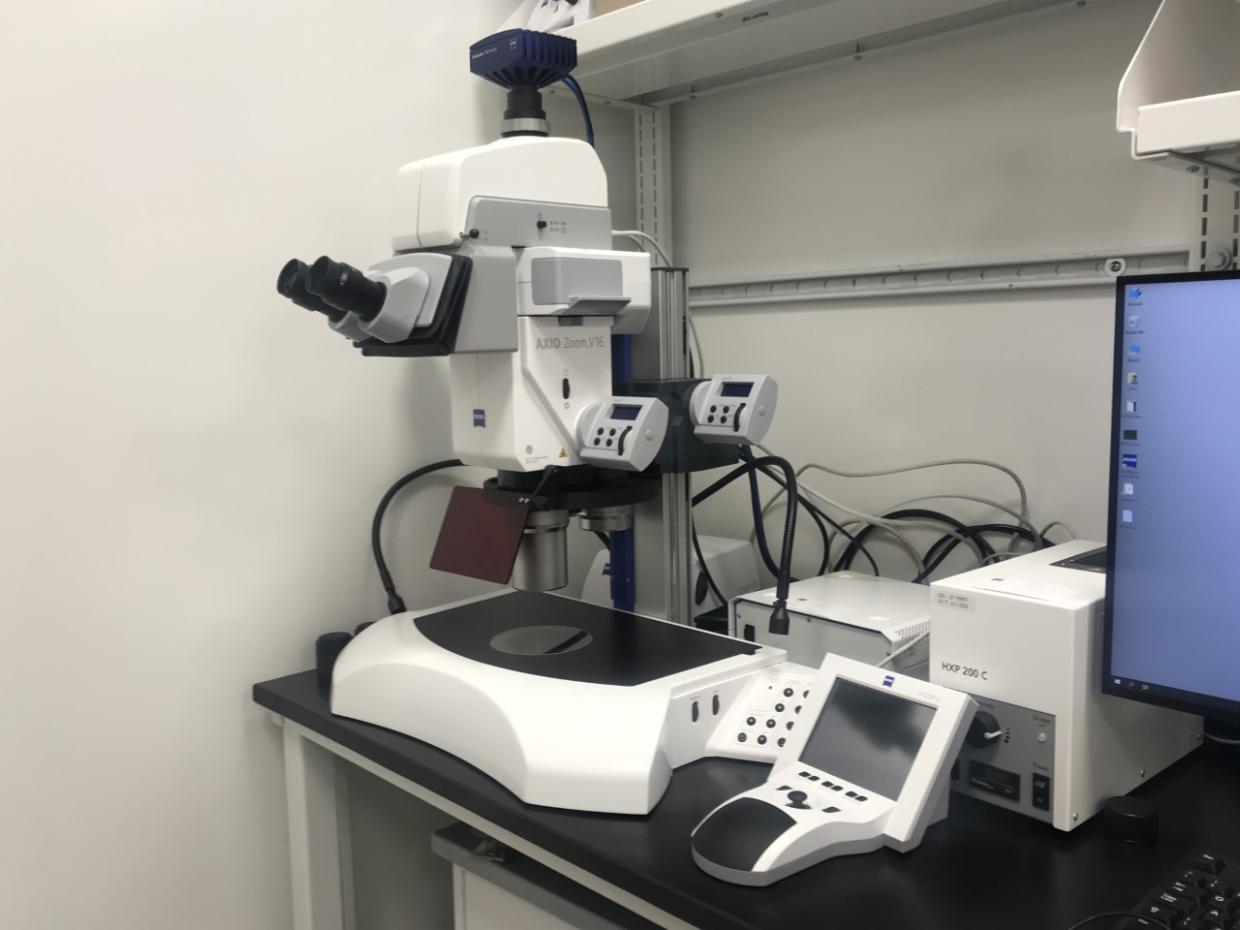 Zeiss Axio Zoom 16 Microscope