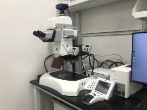 Zeiss Axio Zoom 16 Microscope