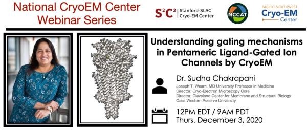 Dr. Sudha Chakrapani